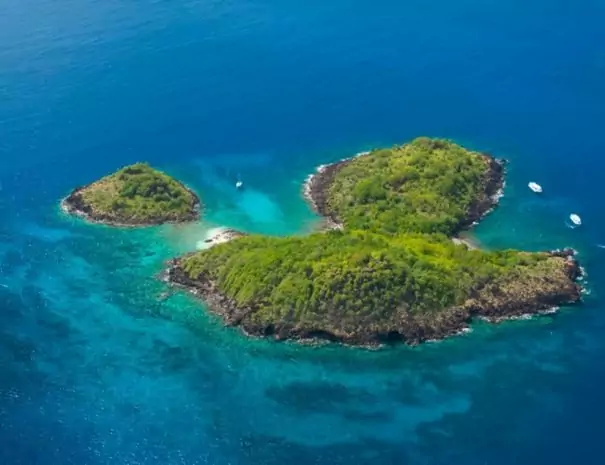 plongée réserve cousteau guadeloupe