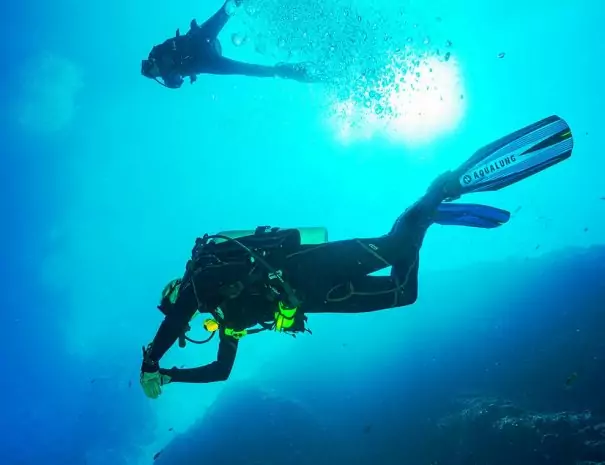 plongée réserve cousteau guadeloupe