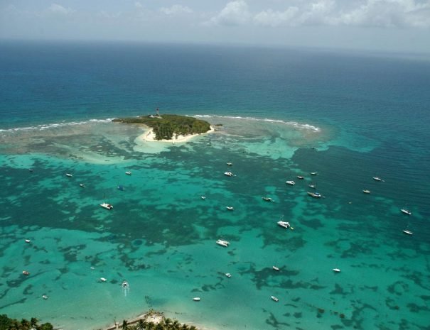 Tour des Îlets, lagon et Mangrove - Catamaran