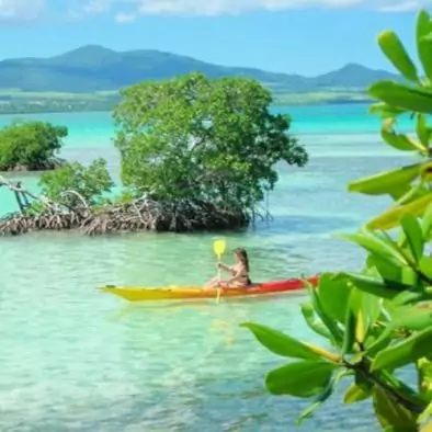 Kayak mangrove