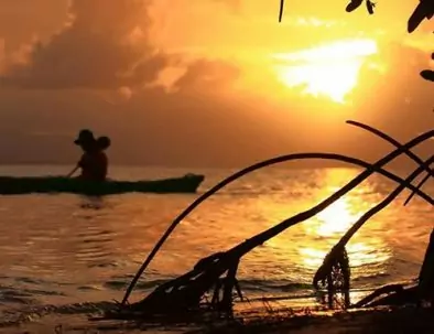 Visite guidée de la mangrove en kayak