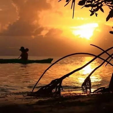 Visite guidée de la mangrove en kayak