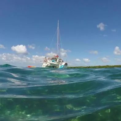 Tour des Îlets, lagon et Mangrove - Catamaran