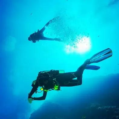excursion plongée